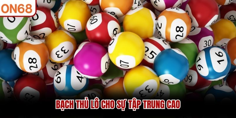 Bạch thủ lô cho sự tập trung cao
